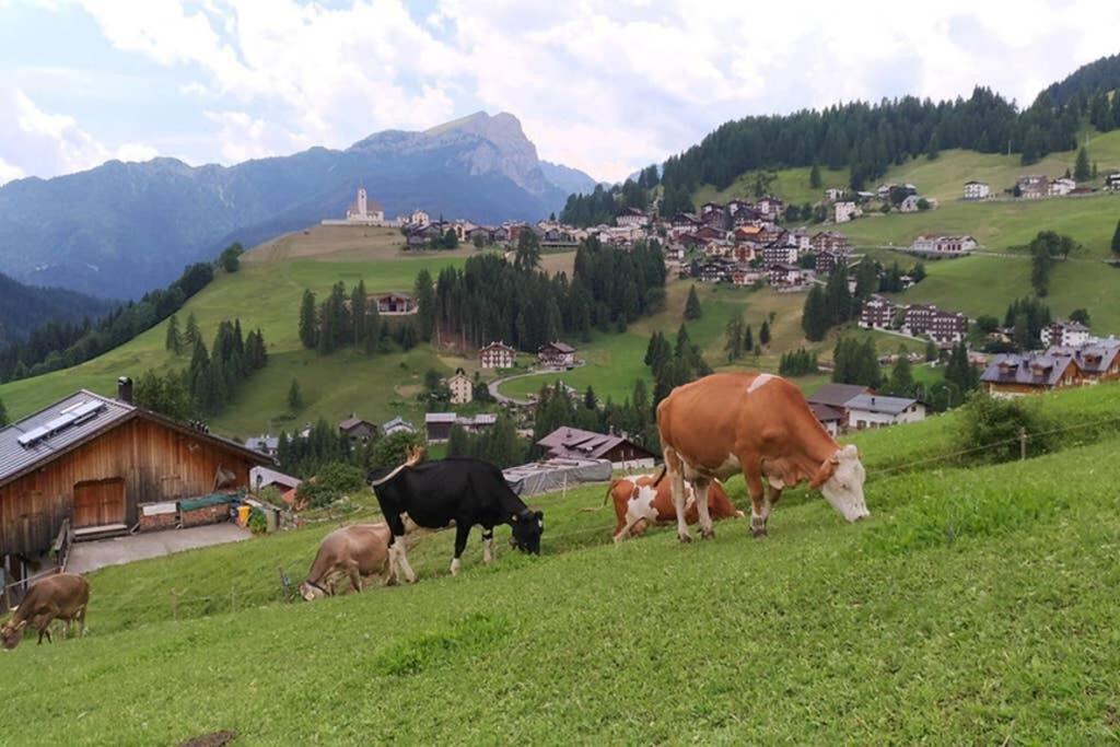 App Col Di Lana - Agriturismo La Majon Da Col Colle Santa Lucia Bagian luar foto